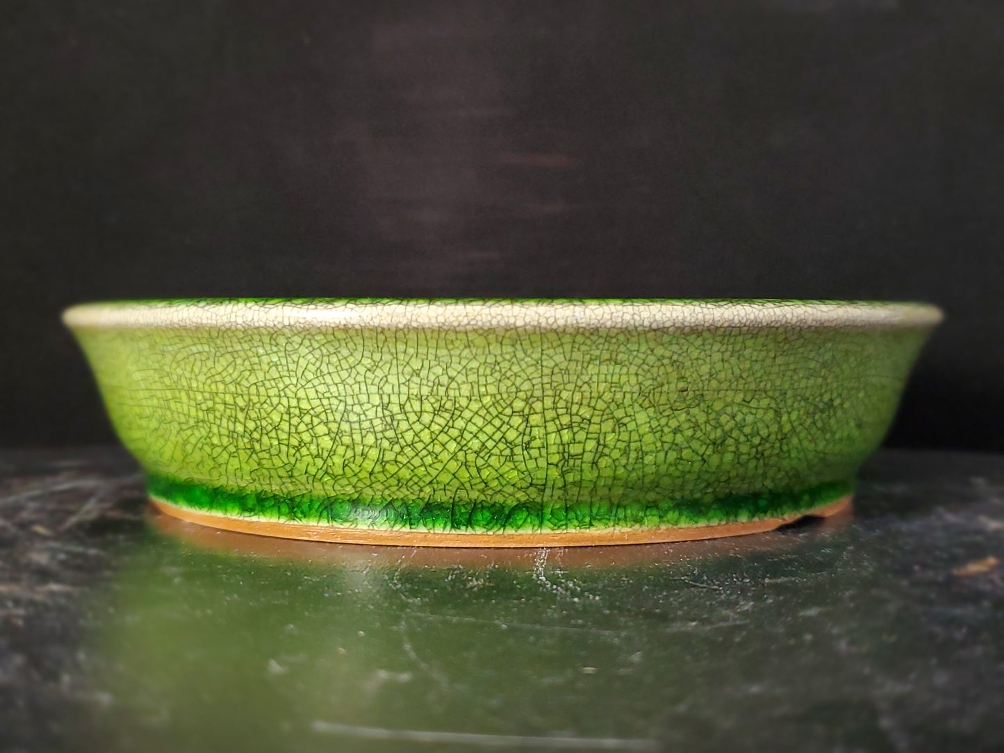 Bonsai Pot Round 9-24-1516 6.5"w x 1.5"t
