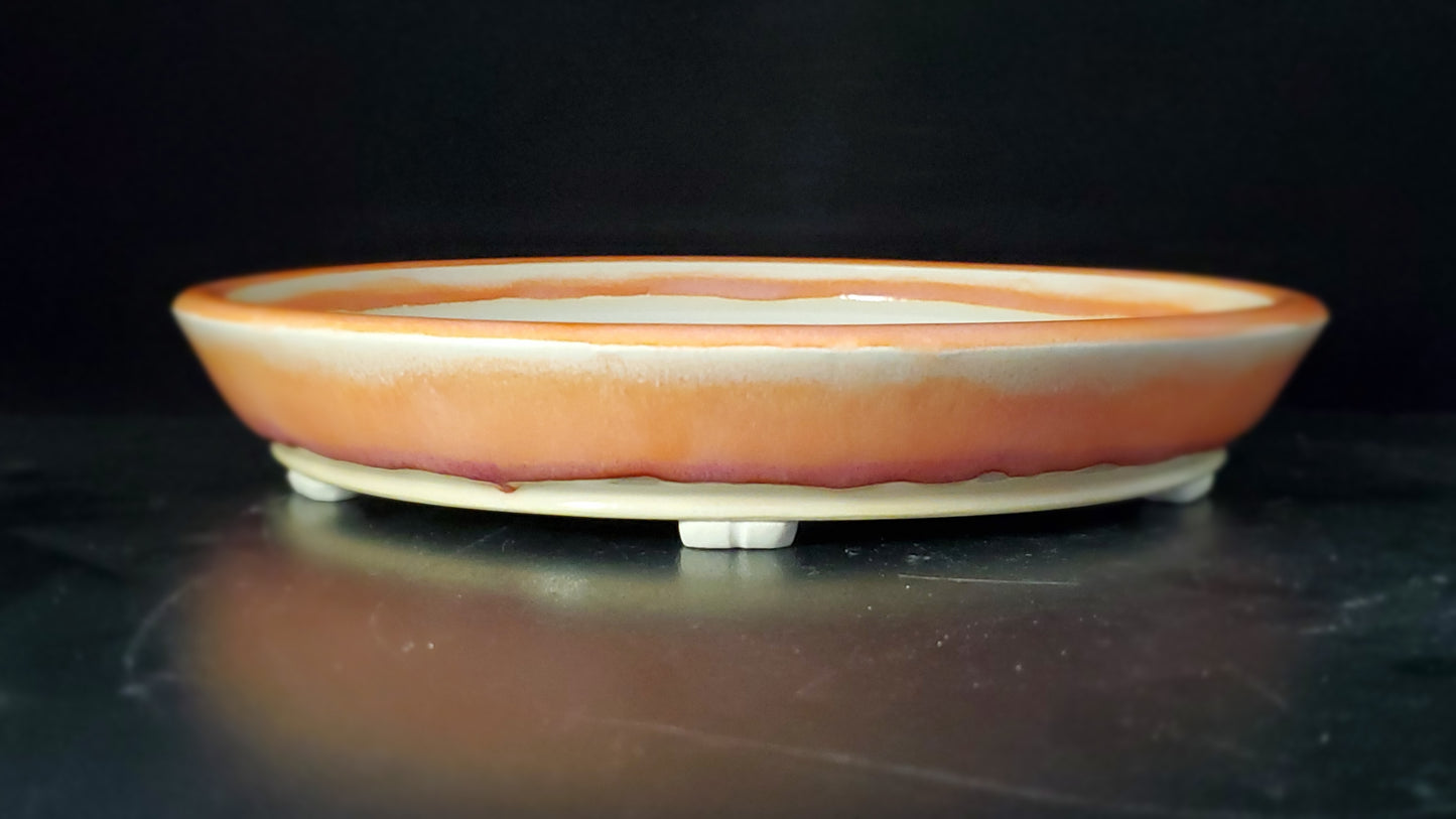 Bonsai Pot Round 9-24-1517 9.5"w x 1.5"t
