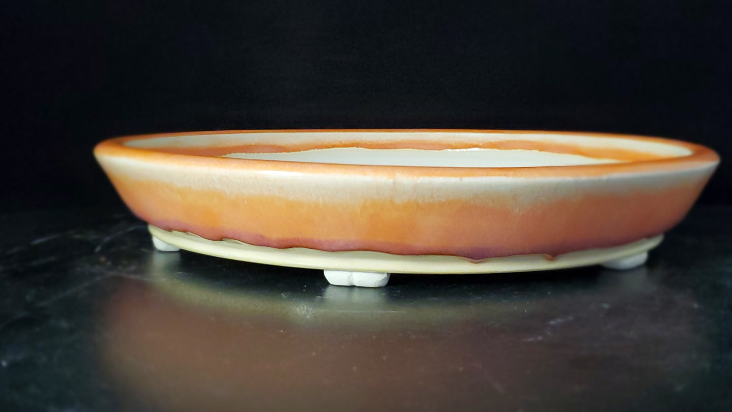 Bonsai Pot Round 9-24-1517 9.5"w x 1.5"t