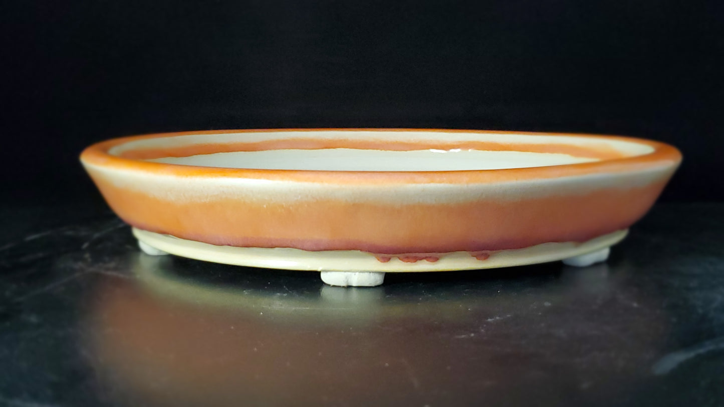 Bonsai Pot Round 9-24-1517 9.5"w x 1.5"t