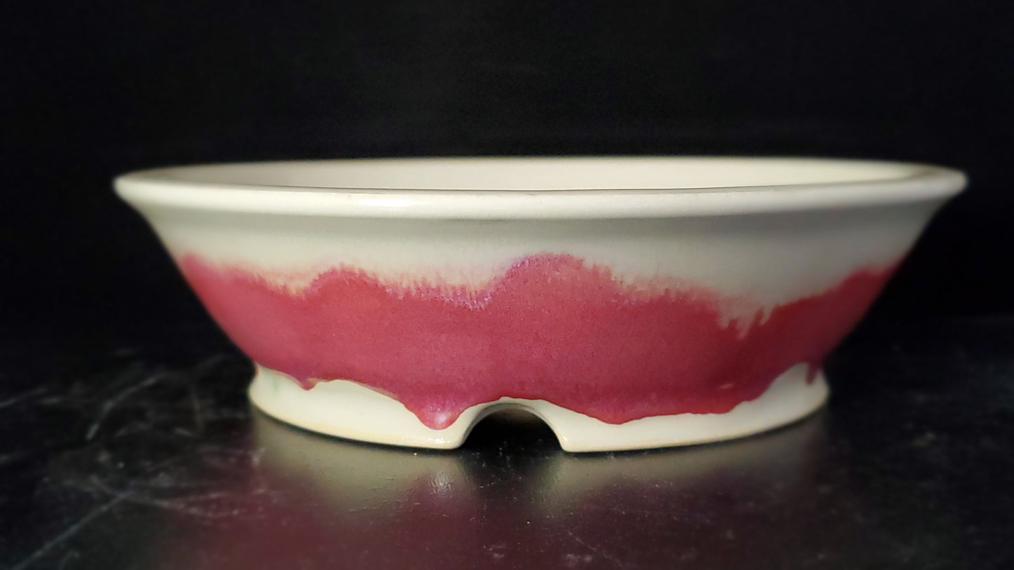 Bonsai Pot Round 9-24-1514 7.25"w x 2"t