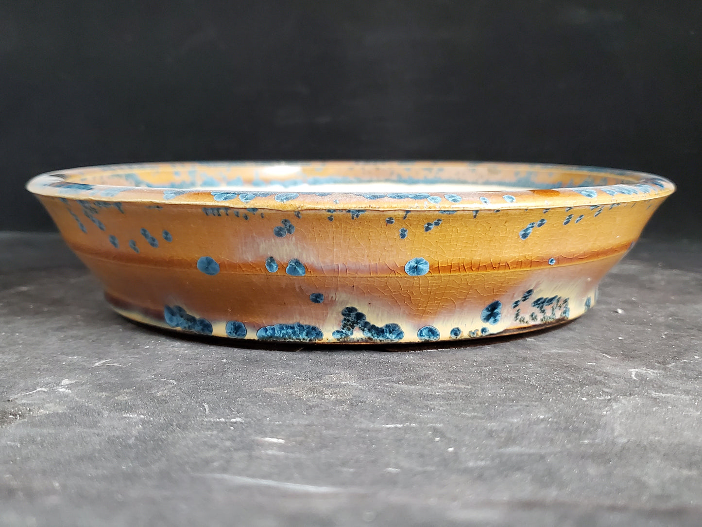 Bonsai Pot Round 2-25-1522 9"w x 2"t