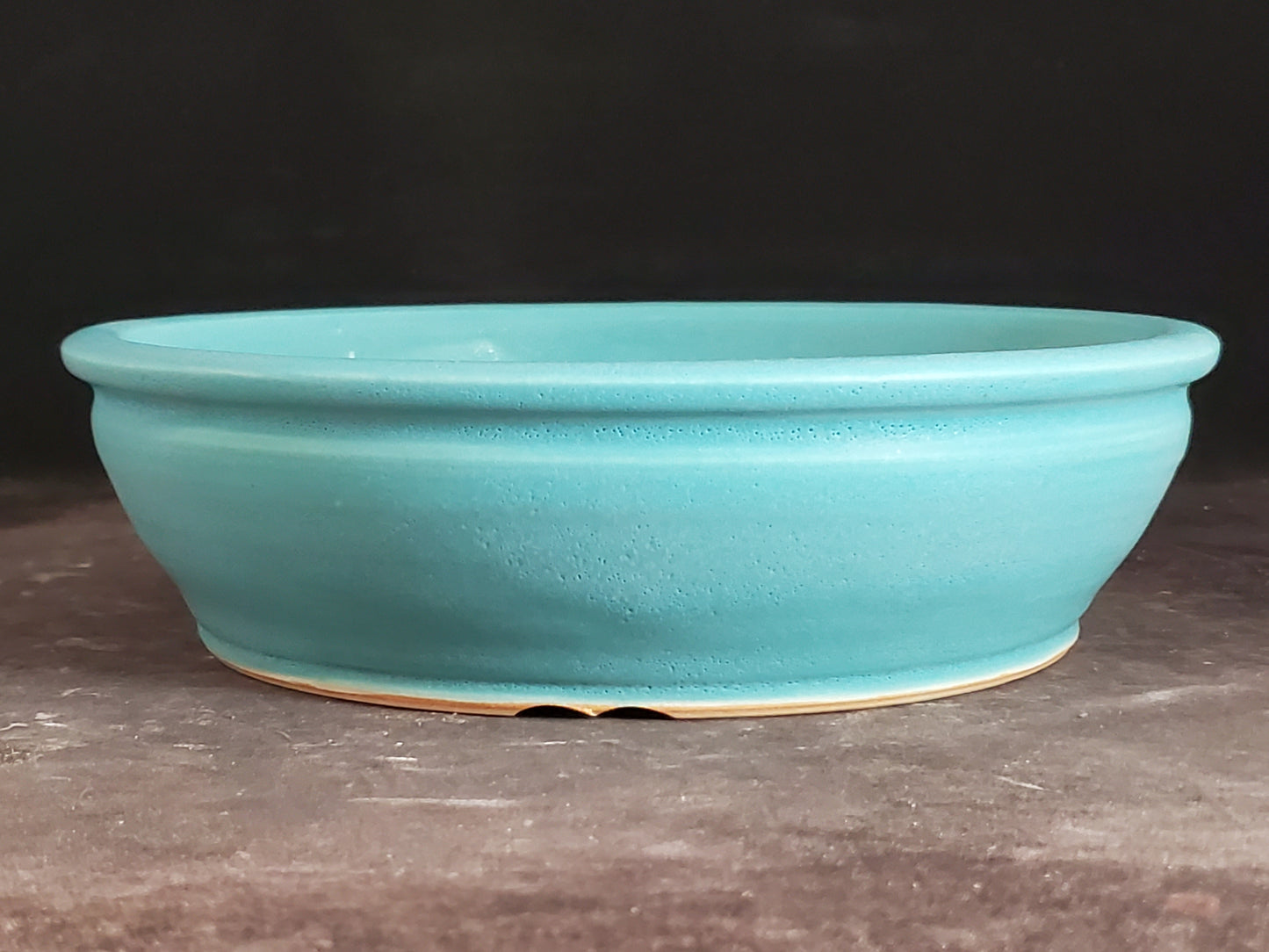 Bonsai Pot Round 3-25-1558 8" x 2.25"