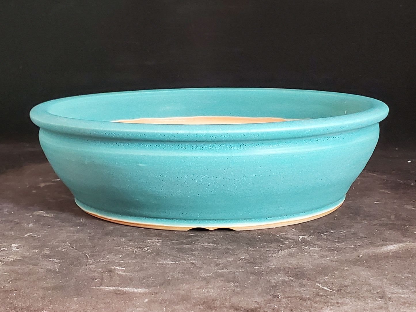 Bonsai Pot Round 3-25-1558 8" x 2.25"