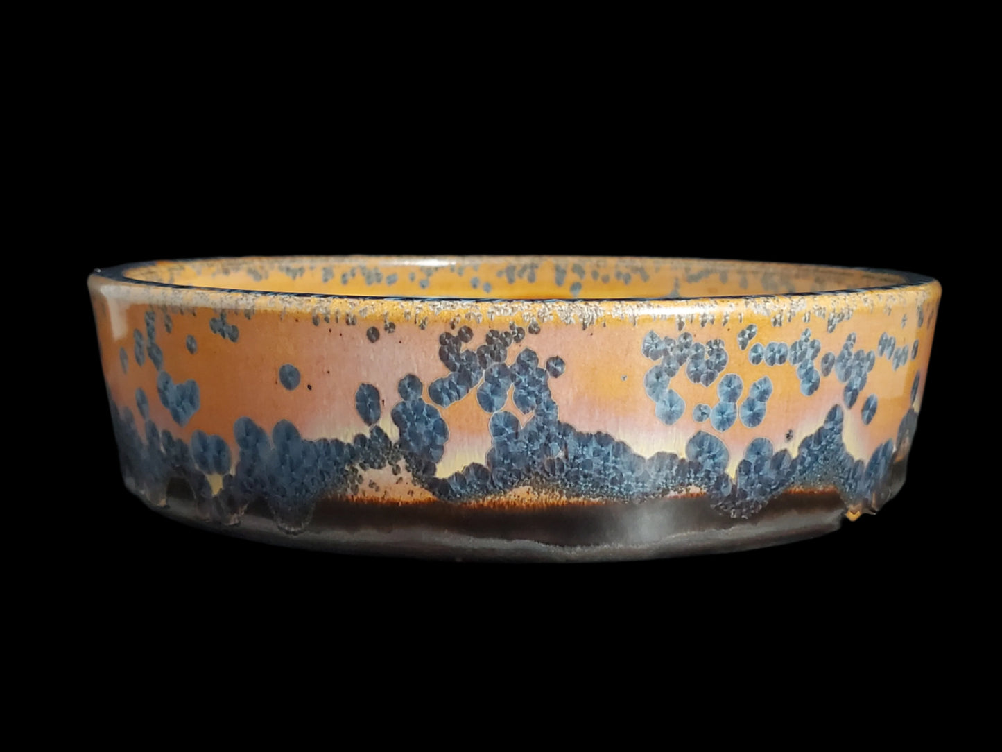Bonsai Pot Round 3-25-1556 8.5" x 2.25"