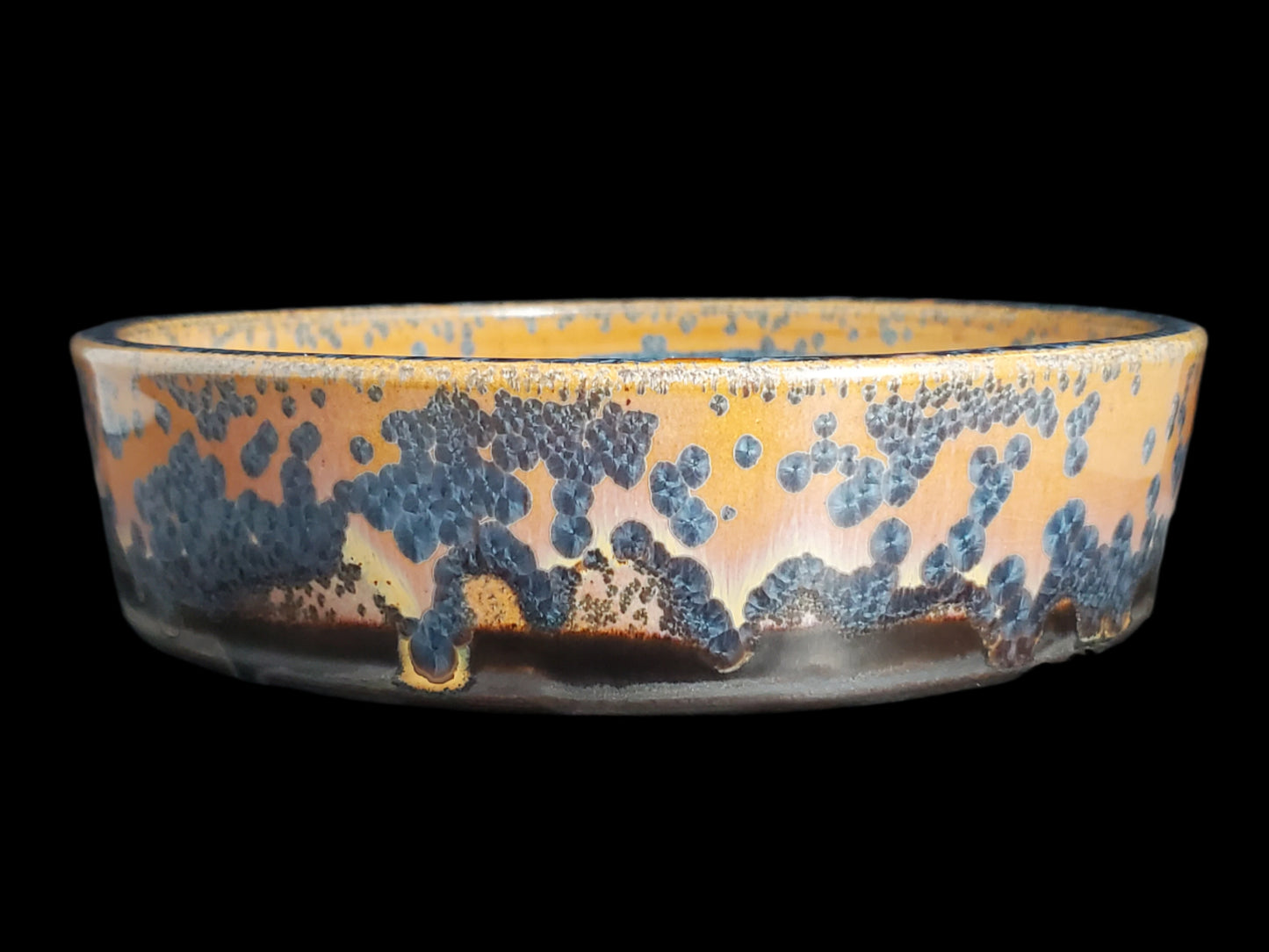 Bonsai Pot Round 3-25-1556 8.5" x 2.25"