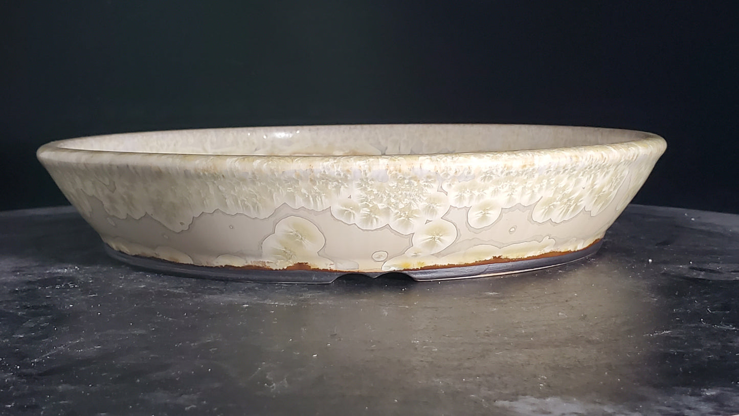 Bonsai Pot Round 3-25-1574 10" x 1.75"