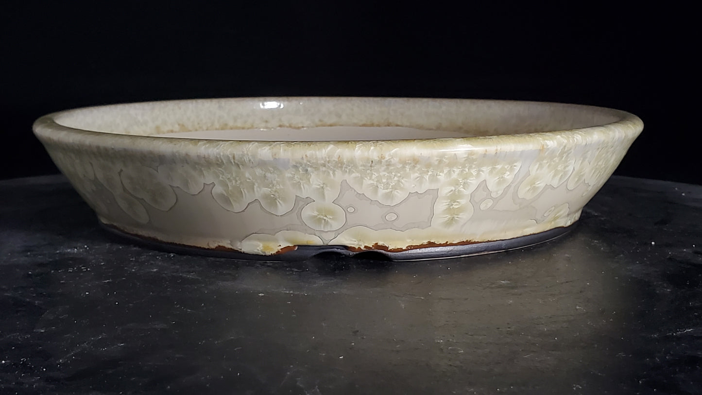 Bonsai Pot Round 3-25-1574 10" x 1.75"