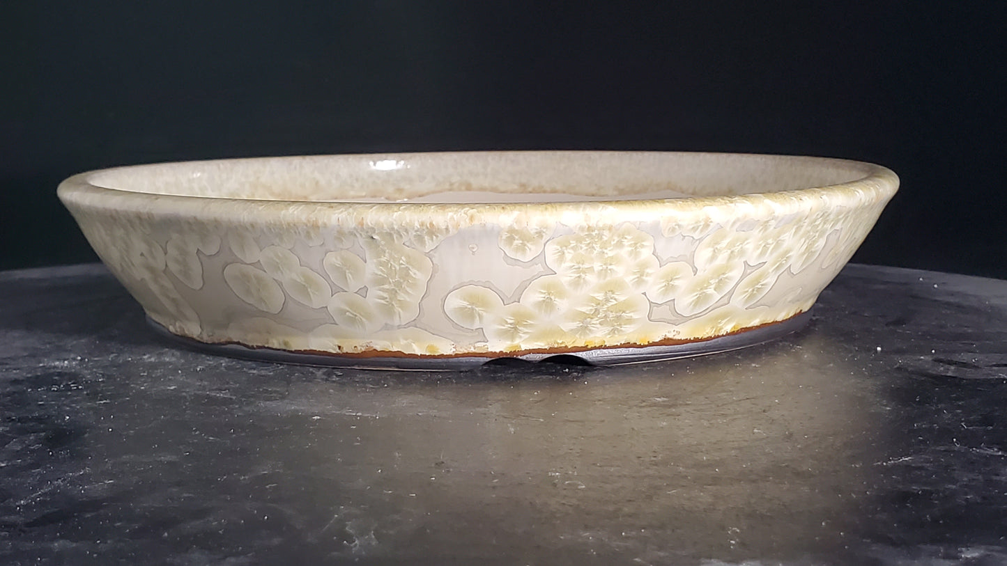Bonsai Pot Round 3-25-1574 10" x 1.75"