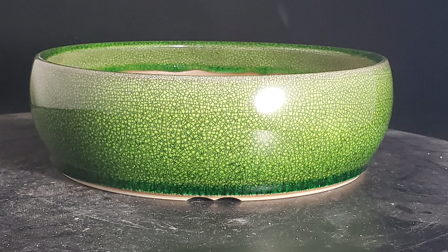 Bonsai Pot Round 3-25-1569 8.5" x 3"