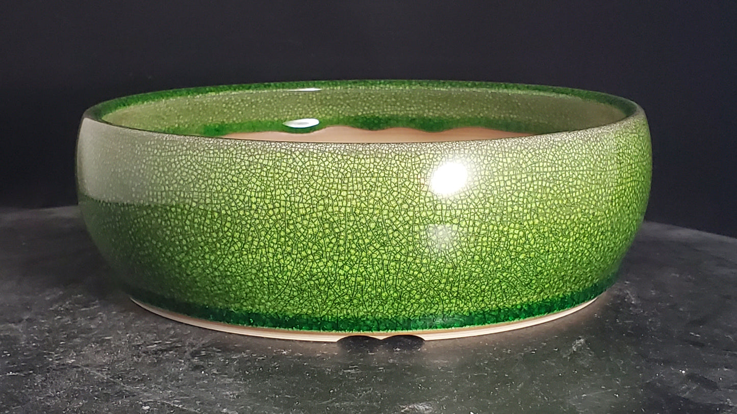 Bonsai Pot Round 3-25-1569 8.5" x 3"