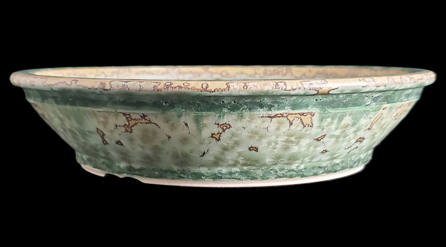 Bonsai Pot Round 5-25-1599 8" X 2"