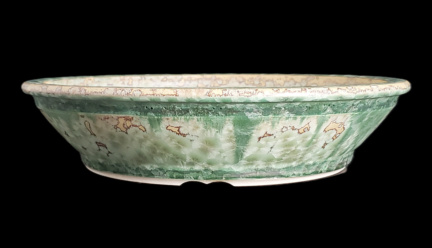 Bonsai Pot Round 5-25-1599 8" X 2"