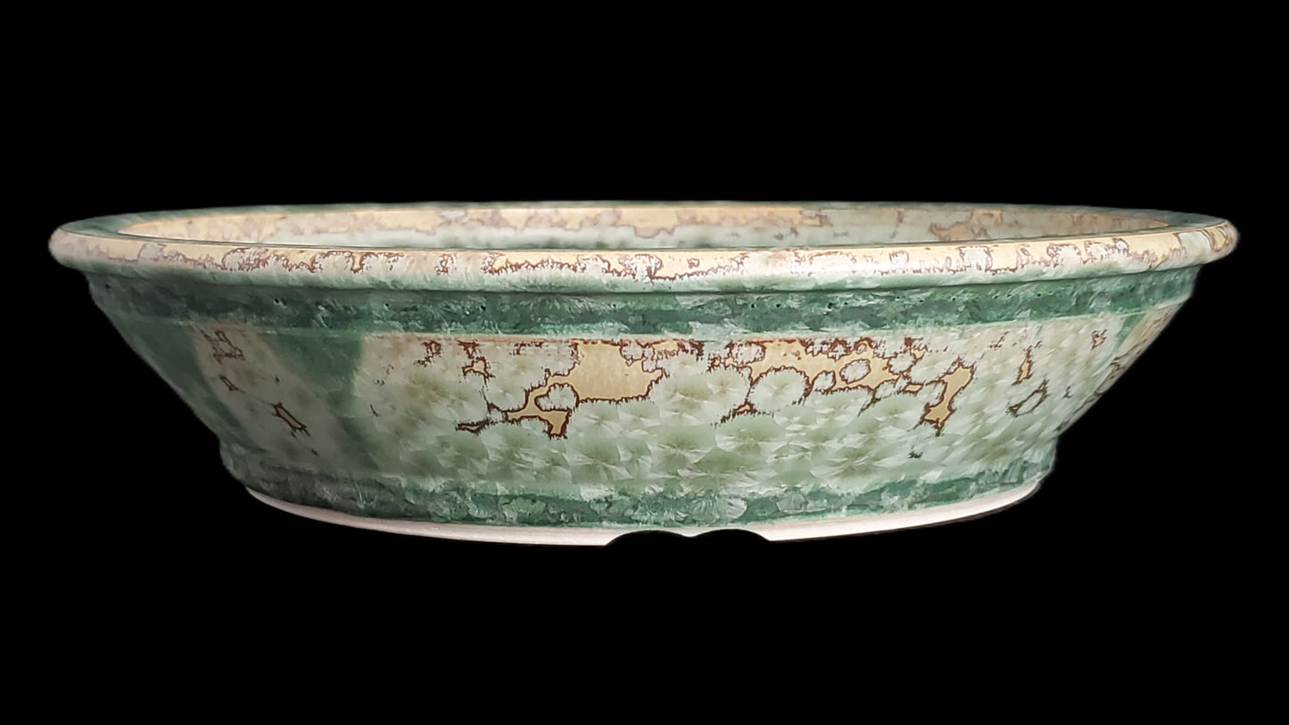 Bonsai Pot Round 5-25-1599 8" X 2"