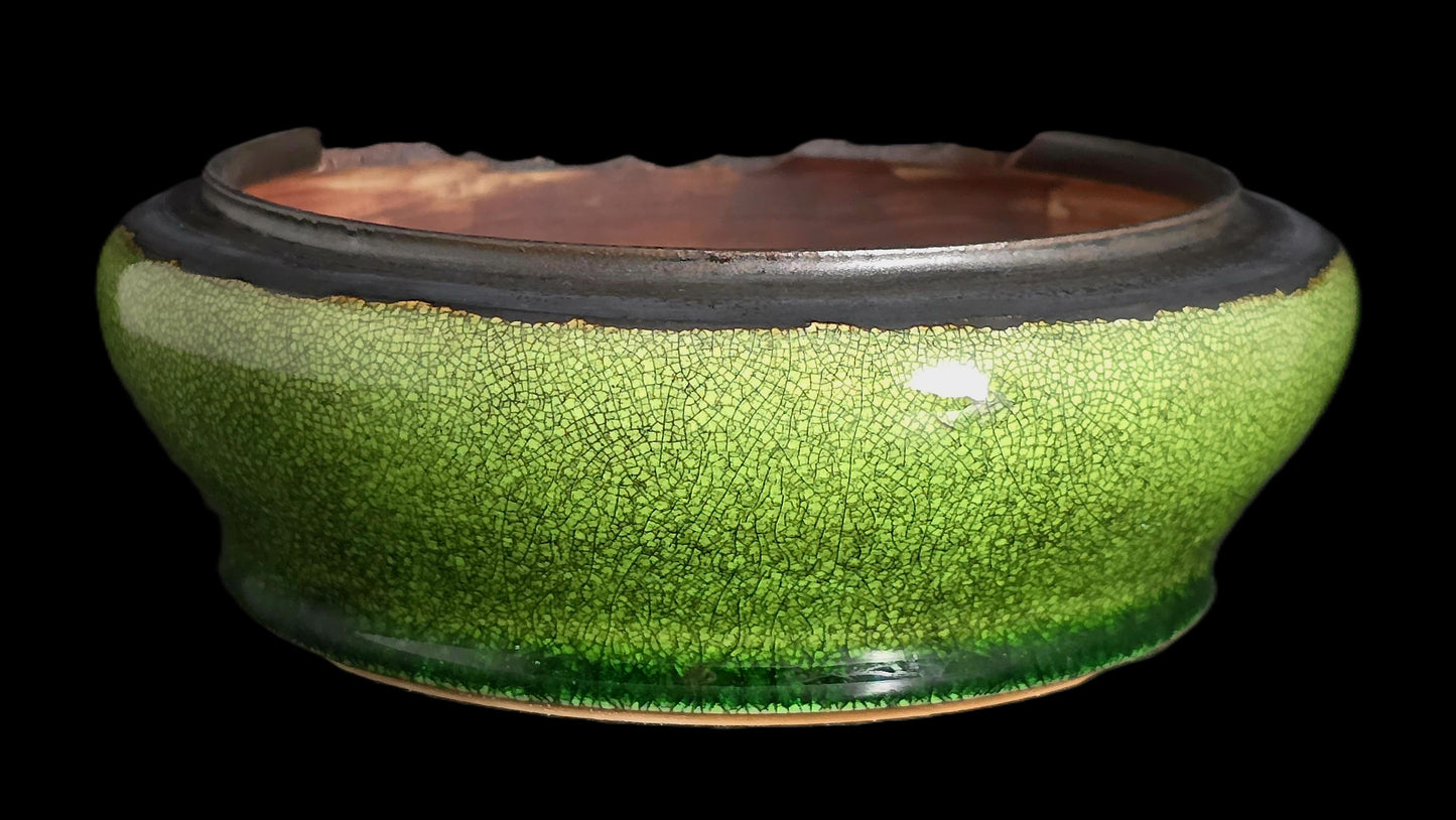 Bonsai Pot Round 8-25-1620 7" X 2.25"