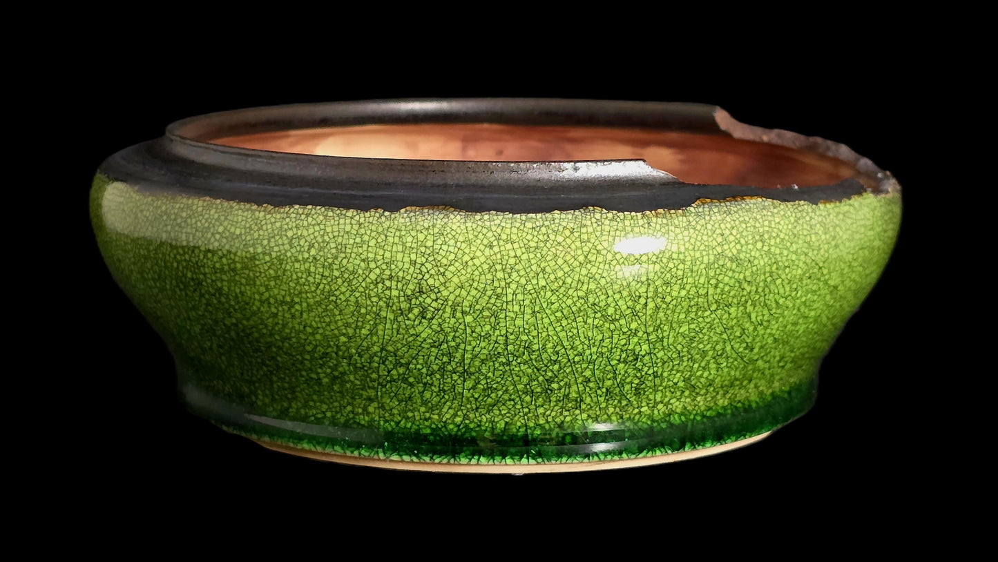 Bonsai Pot Round 8-25-1620 7" X 2.25"