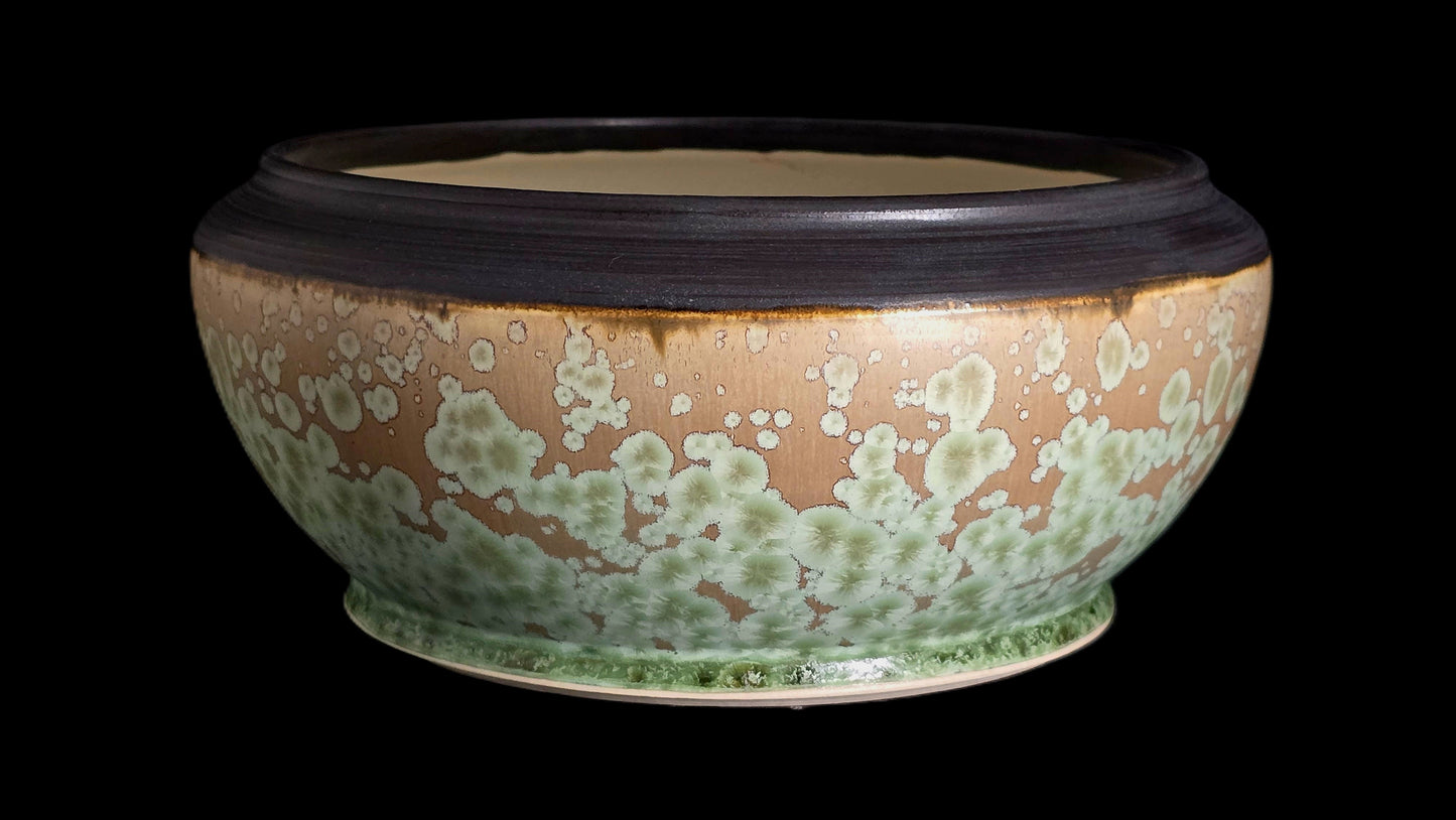 Bonsai Pot Round 8-25-1621 8.25" X 3.5"