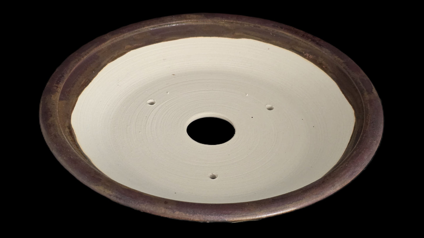 Bonsai Pot Round 8-25-1611 8.5" X 1.5"