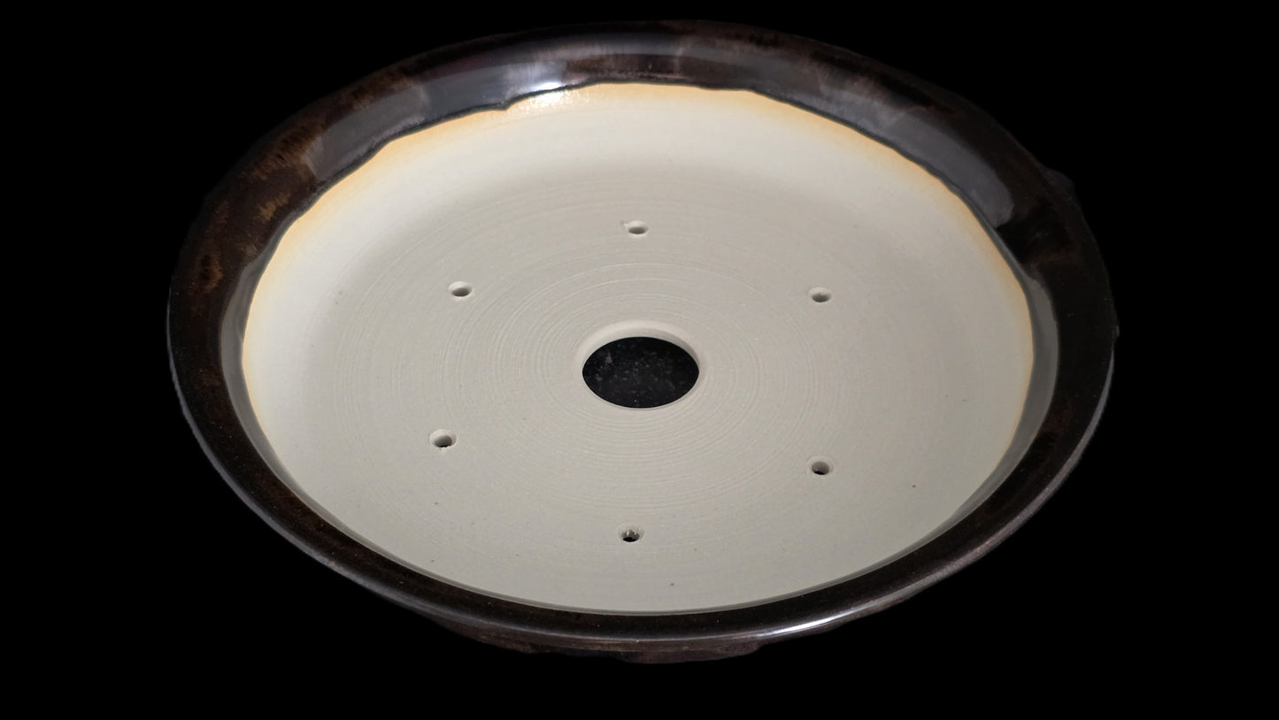 Bonsai Pot Round 8-25-1615 8.5" X 1.75"