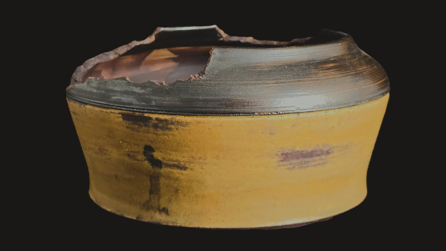 Bonsai Pot Round 8-25-1616 7.5" X 4"