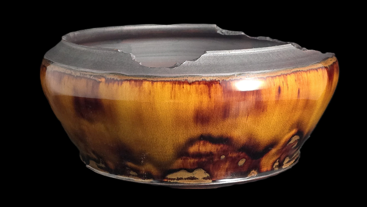 Bonsai Pot Round 8-25-1619 9" X 4" semi cascade