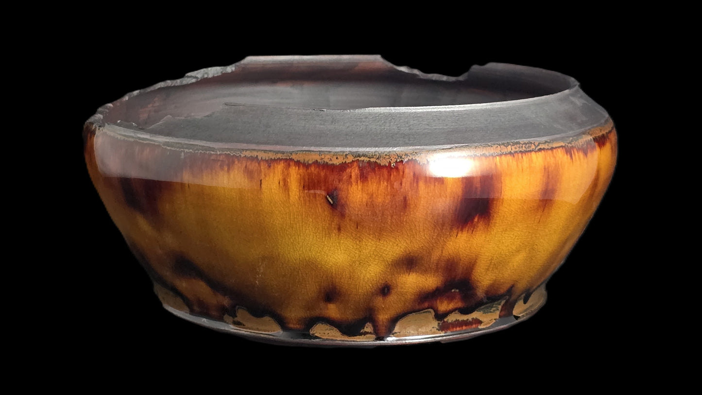 Bonsai Pot Round 8-25-1619 9" X 4" semi cascade