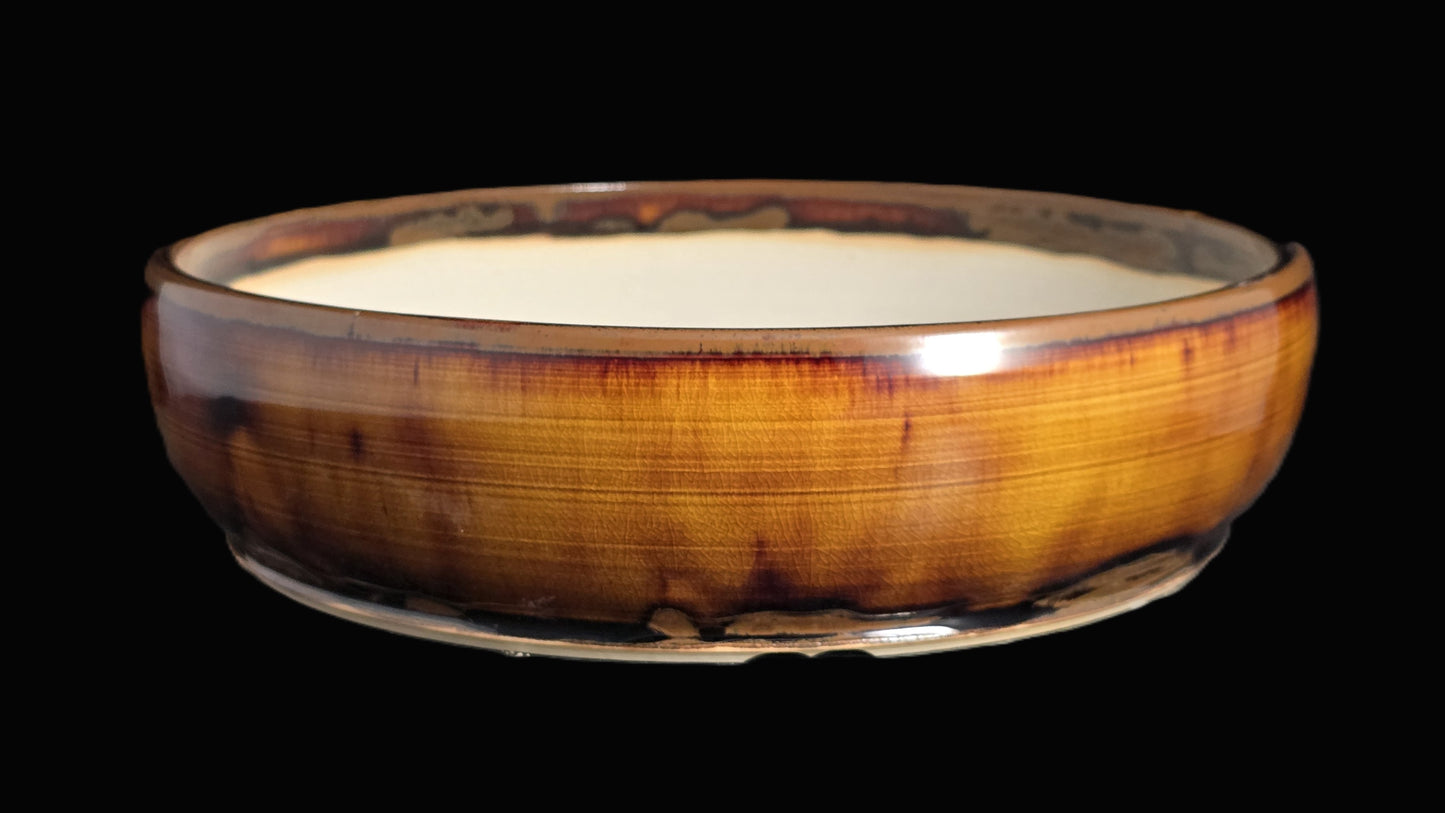 Bonsai Pot Round 8-25-1619 9.5" X 2.5"