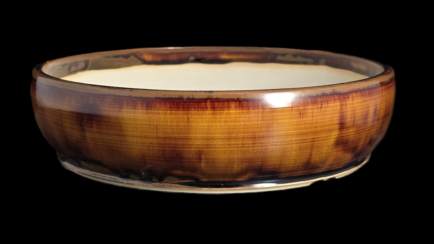 Bonsai Pot Round 8-25-1619 9.5" X 2.5"