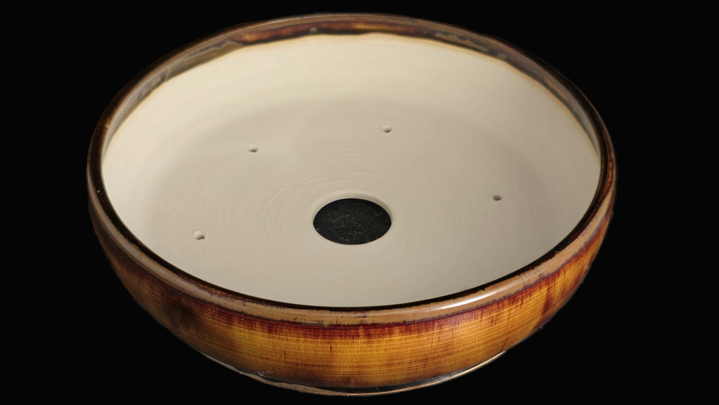 Bonsai Pot Round 8-25-1619 9.5" X 2.5"