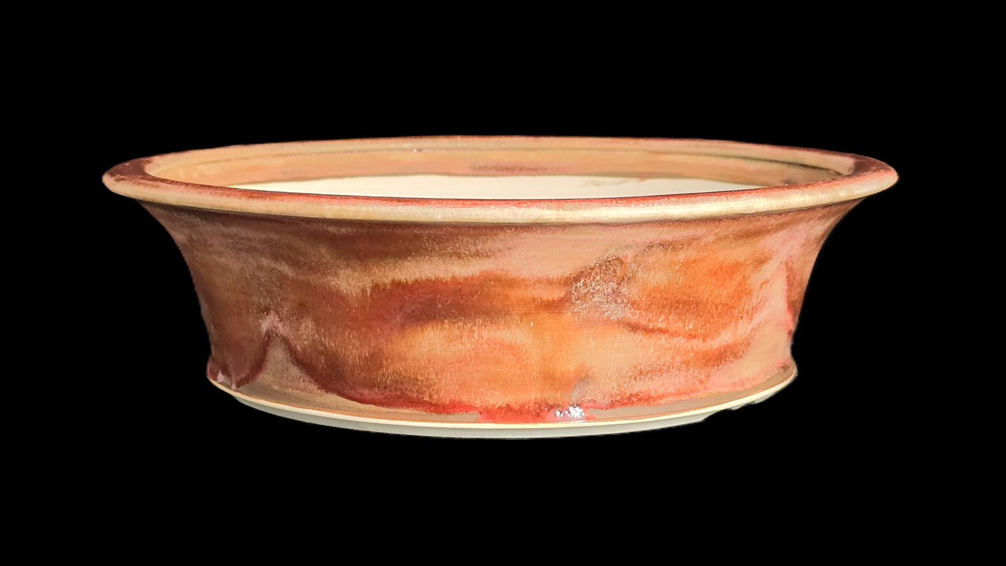 Bonsai Pot Round 8-25-1624 9" X 2.5"