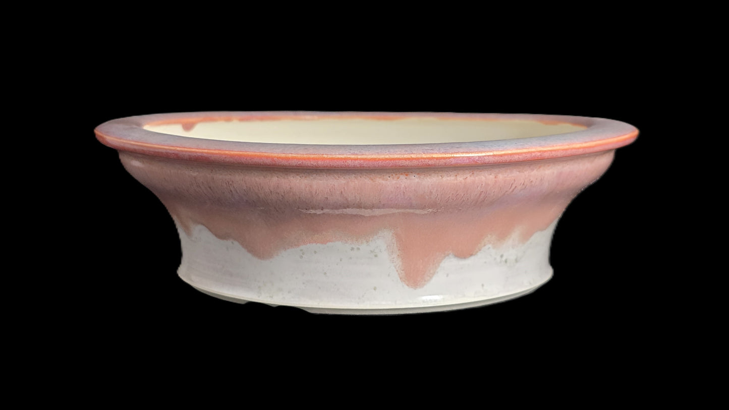 Bonsai Pot Round 8-25-1626 7.5" X 2.25"