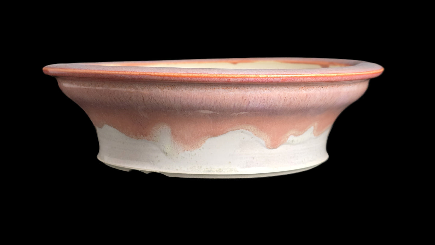 Bonsai Pot Round 8-25-1626 7.5" X 2.25"