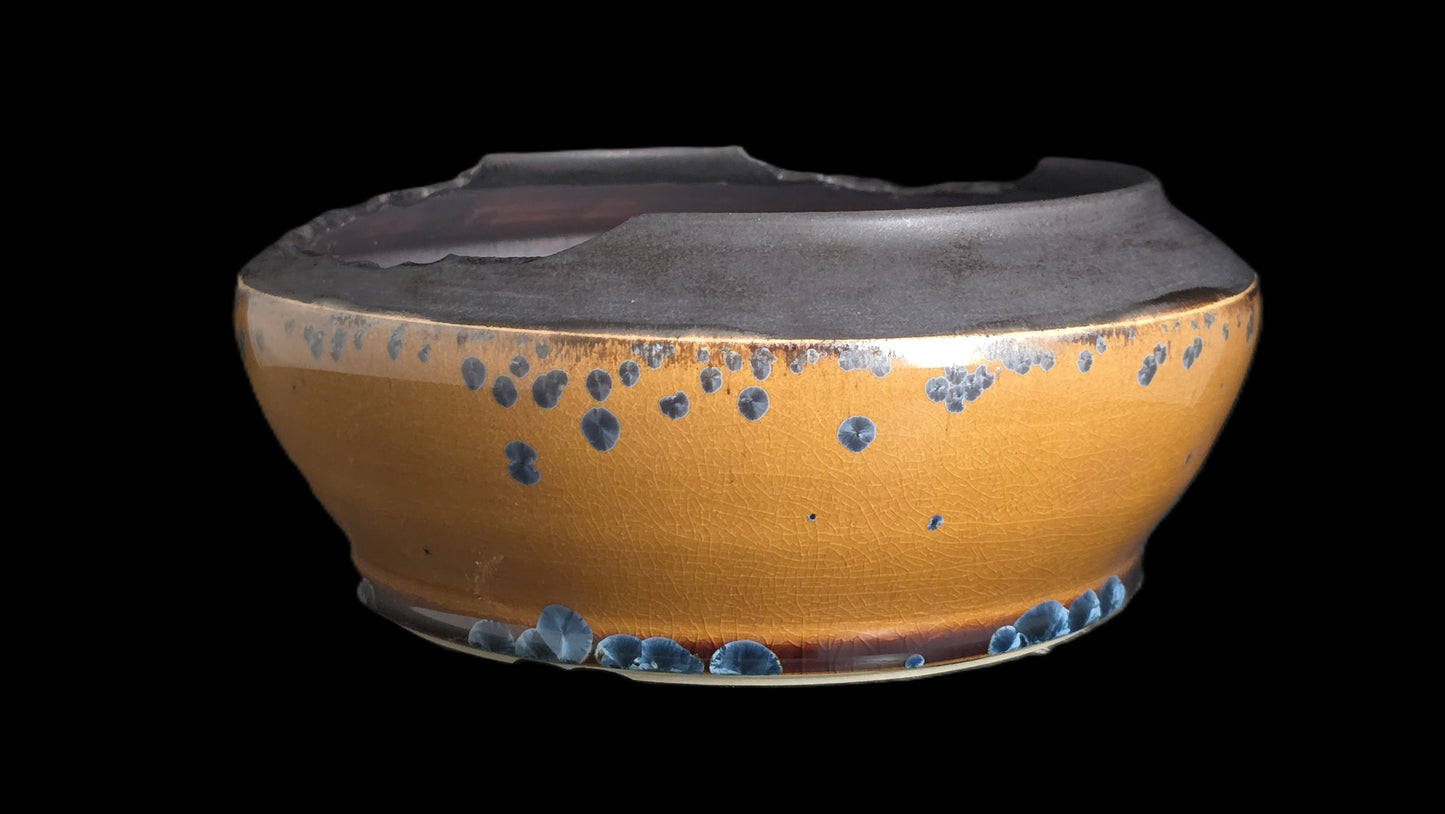Bonsai Pot Round 8-25-1625 8" X 3.5"