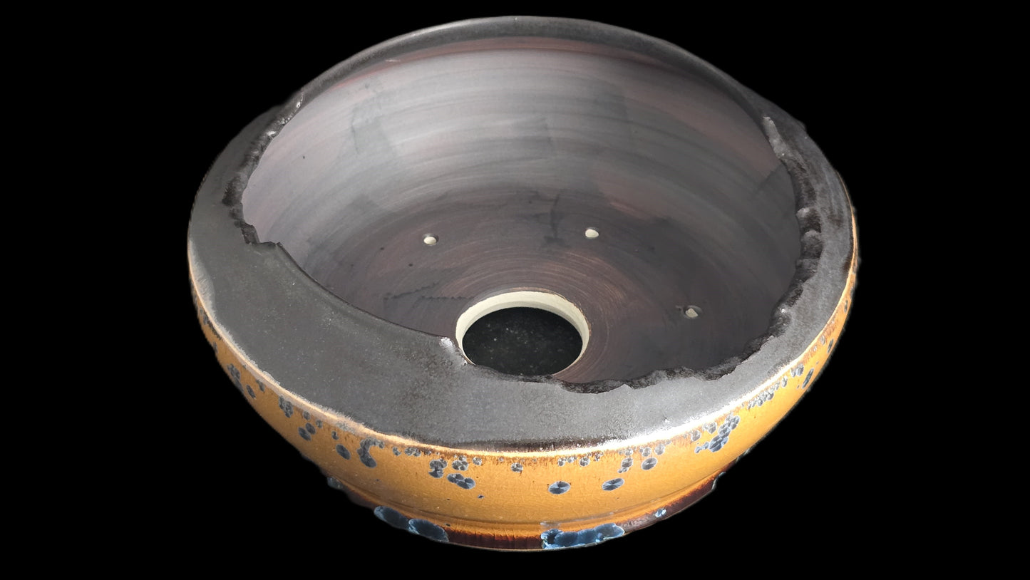 Bonsai Pot Round 8-25-1625 8" X 3.5"