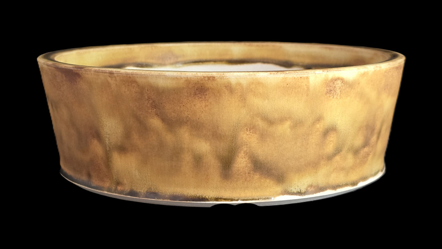 Bonsai Pot Round 8-25-1633 9.25" X 3"