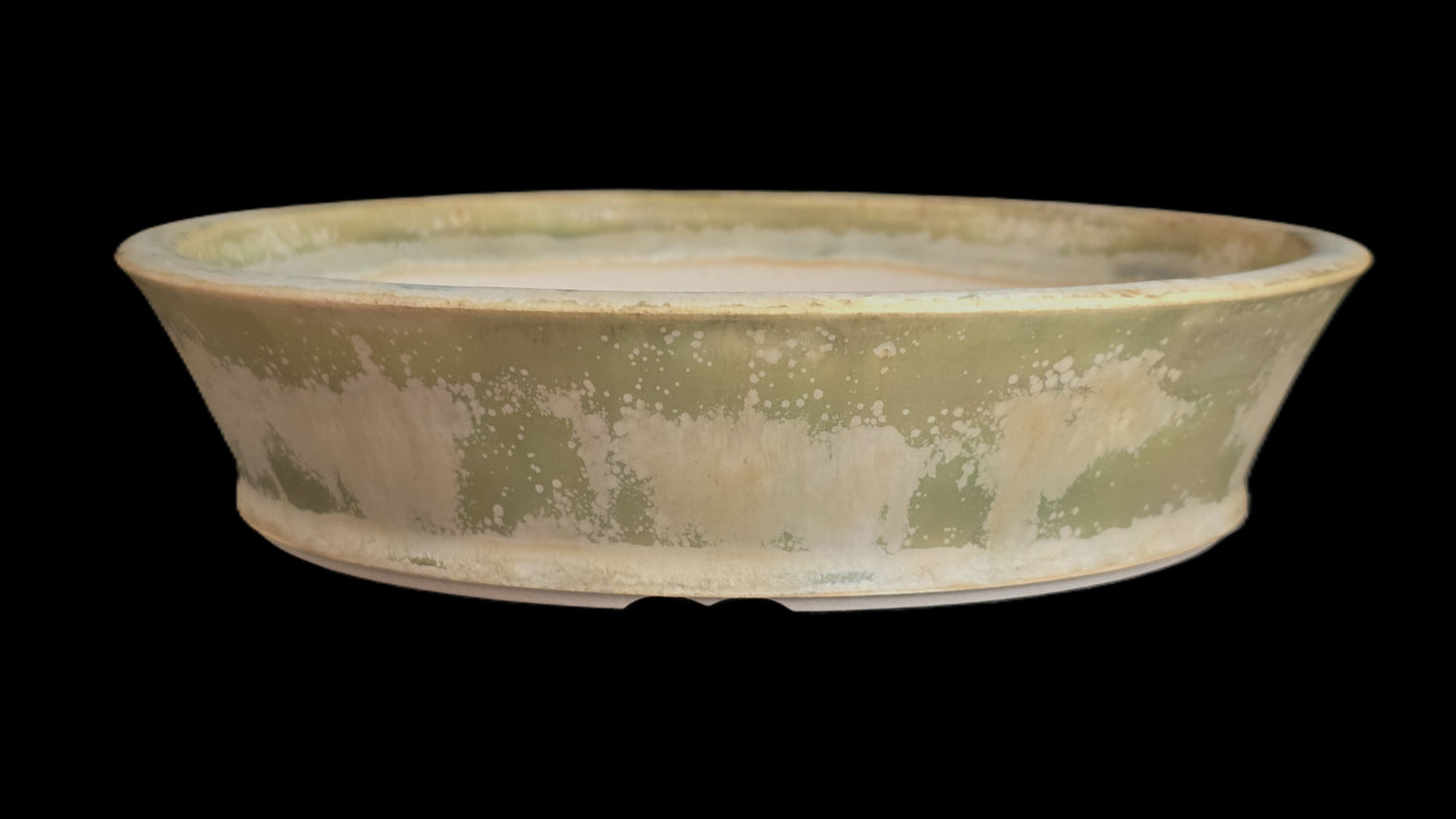 Bonsai Pot Round 8-25-1637 9" X 2" Matte mottled green