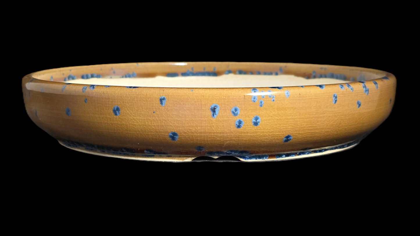 Bonsai Pot Round 8-25-1639 9.5" X 1.75" blue flower crystalline