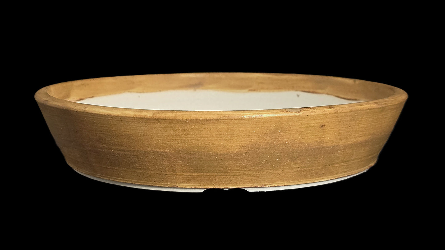 Bonsai Pot Round 8-25-1640 9.5" X 1.75" rustic mustard