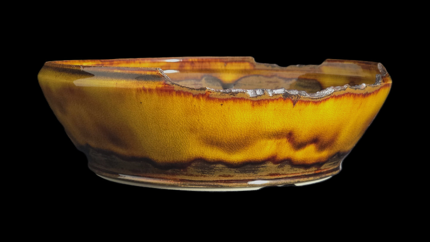 Bonsai Pot Round 8-25-1649 8" X 2.5" lava flow broken rim