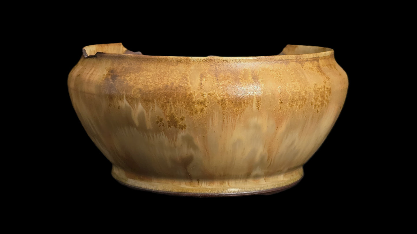 Bonsai Pot Round 8-25-1652 6.5" X 3" elegant rustic cascade