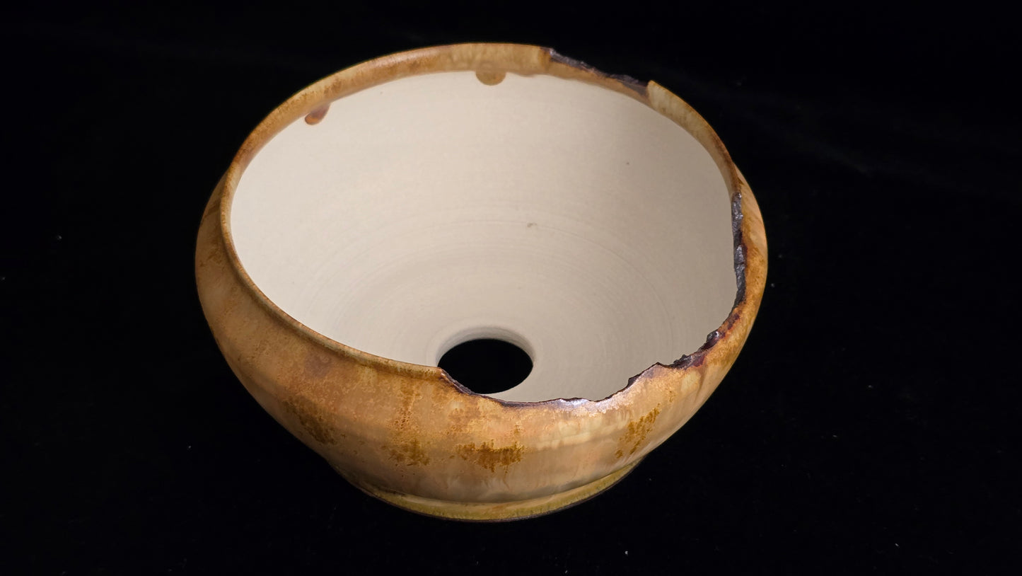 Bonsai Pot Round 8-25-1652 6.5" X 3" elegant rustic cascade