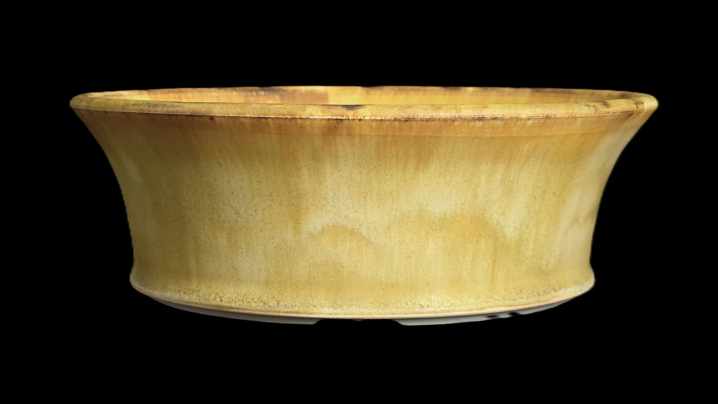 Bonsai Pot Round 8-25-1648 8" X 2.75" creamy matte flare