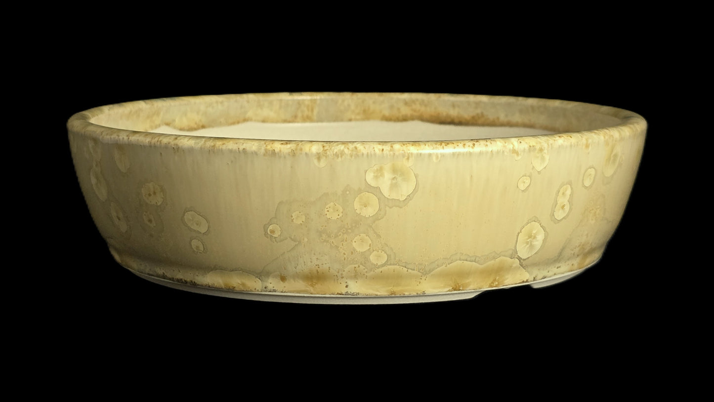Bonsai Pot Round 10-25 - 8" X 2"