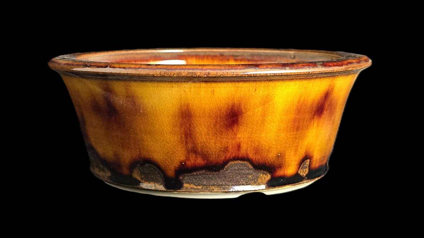 Bonsai Pot Round 10-25 - 6" X 2.25"
