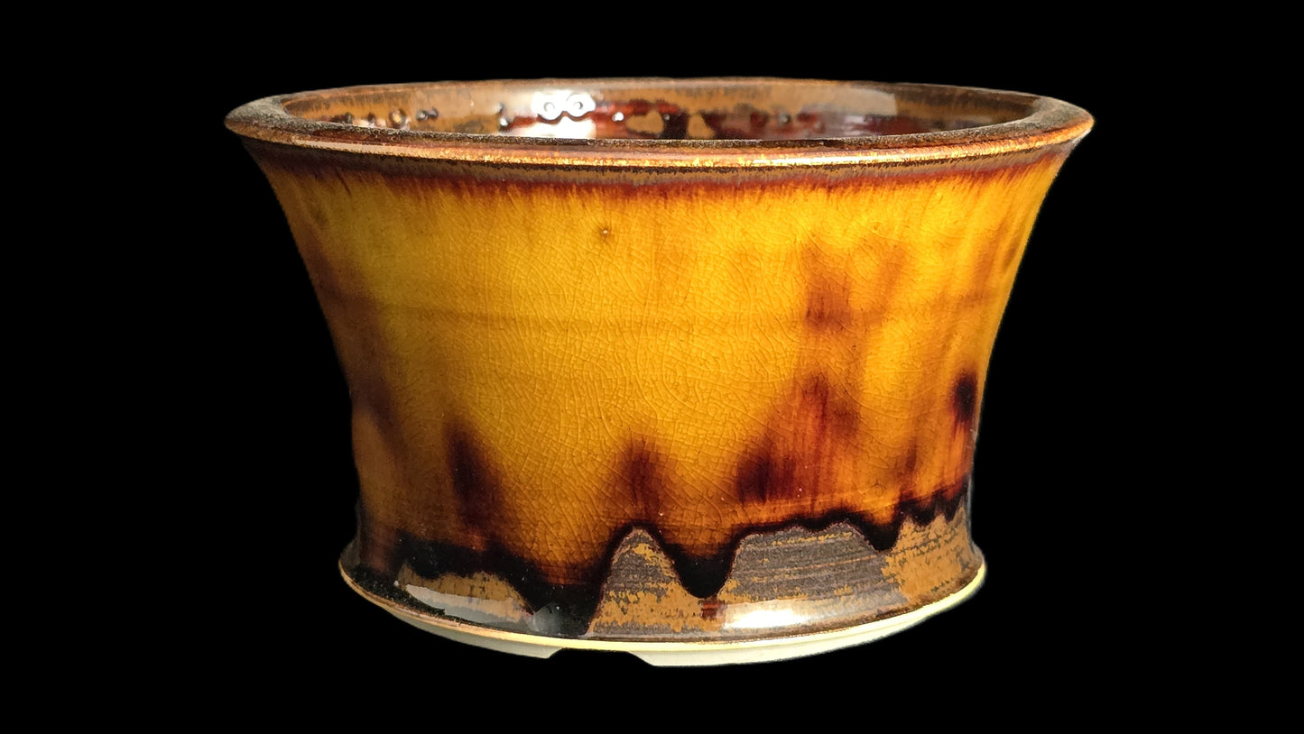 Bonsai Pot Round 10-25 - 5.5" X 3"