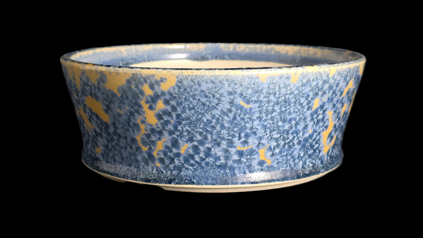 Bonsai Pot Round 10-25 - 6.5" X 2.5"