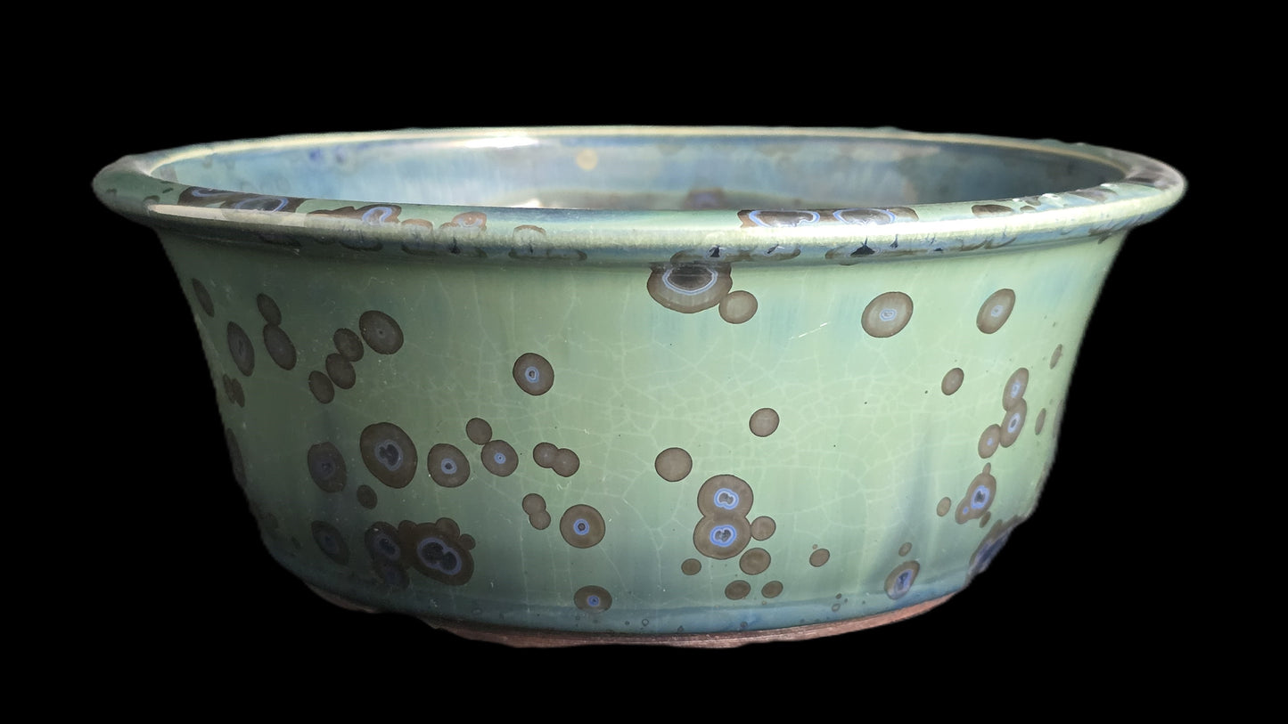 Bonsai Pot Round 10-25 - 7.5" X 3"