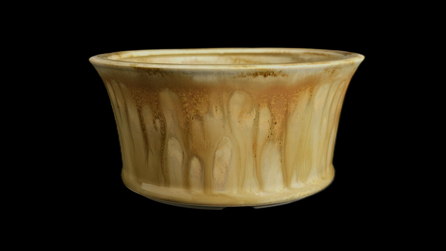 Bonsai Pot Round 10-25 - 5.5" X 2.75"