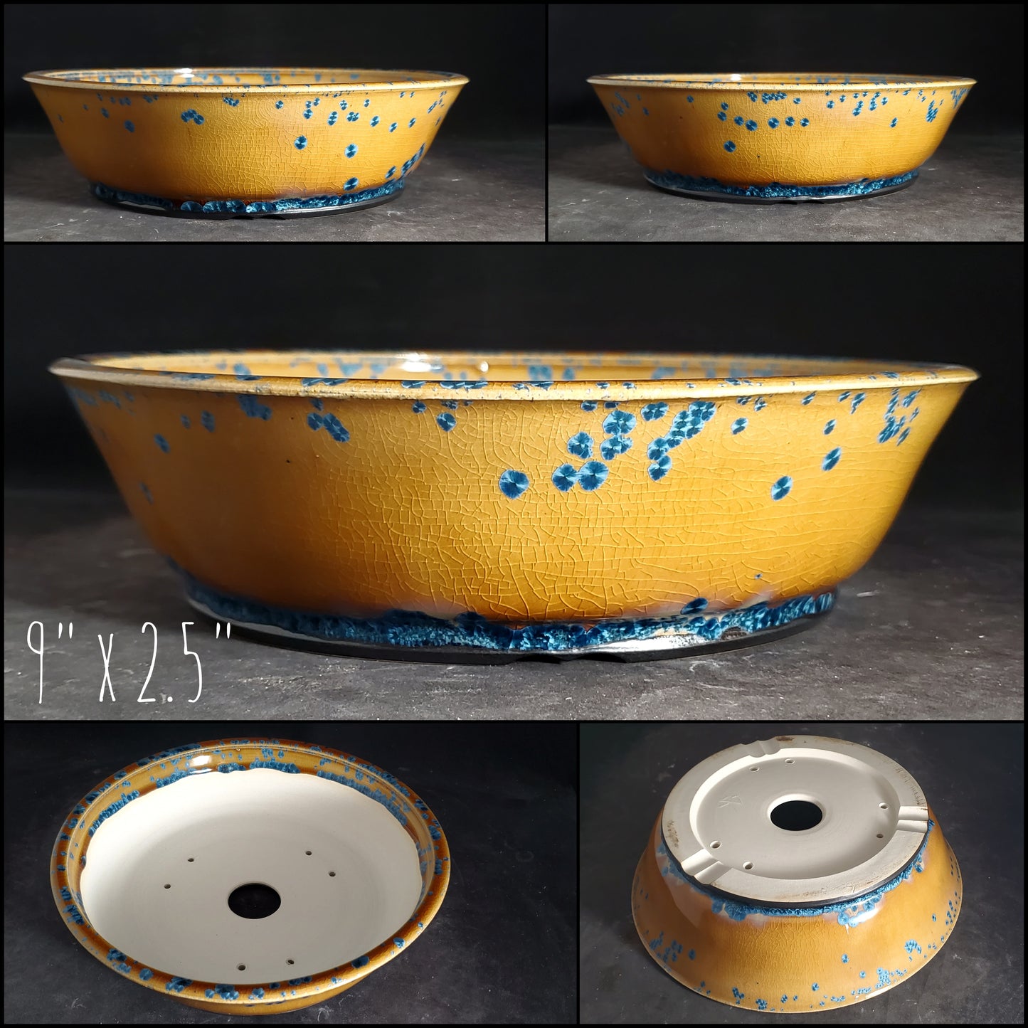 Bonsai Pot Round 2-25-1523 9"w x 2.5"t