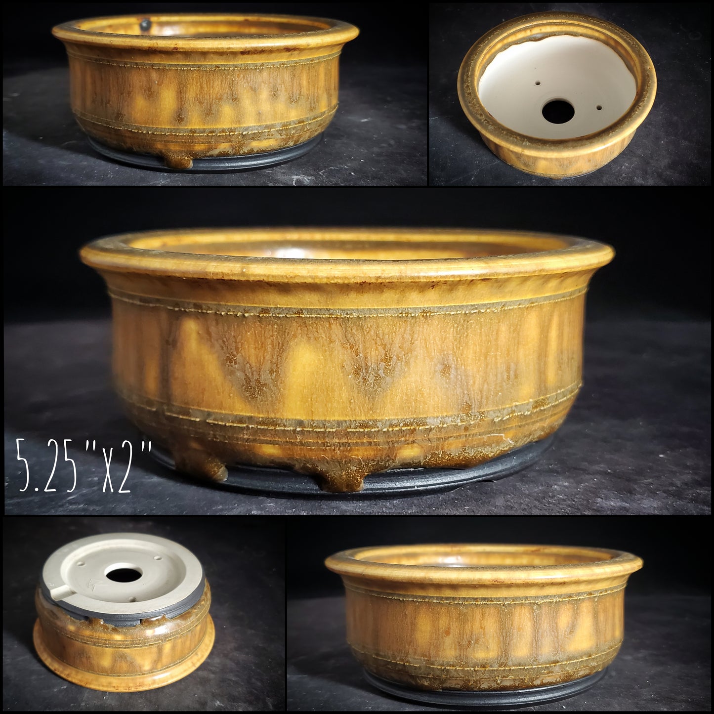 Bonsai Pot Round 2-25-1525 5.25"w x 2"t